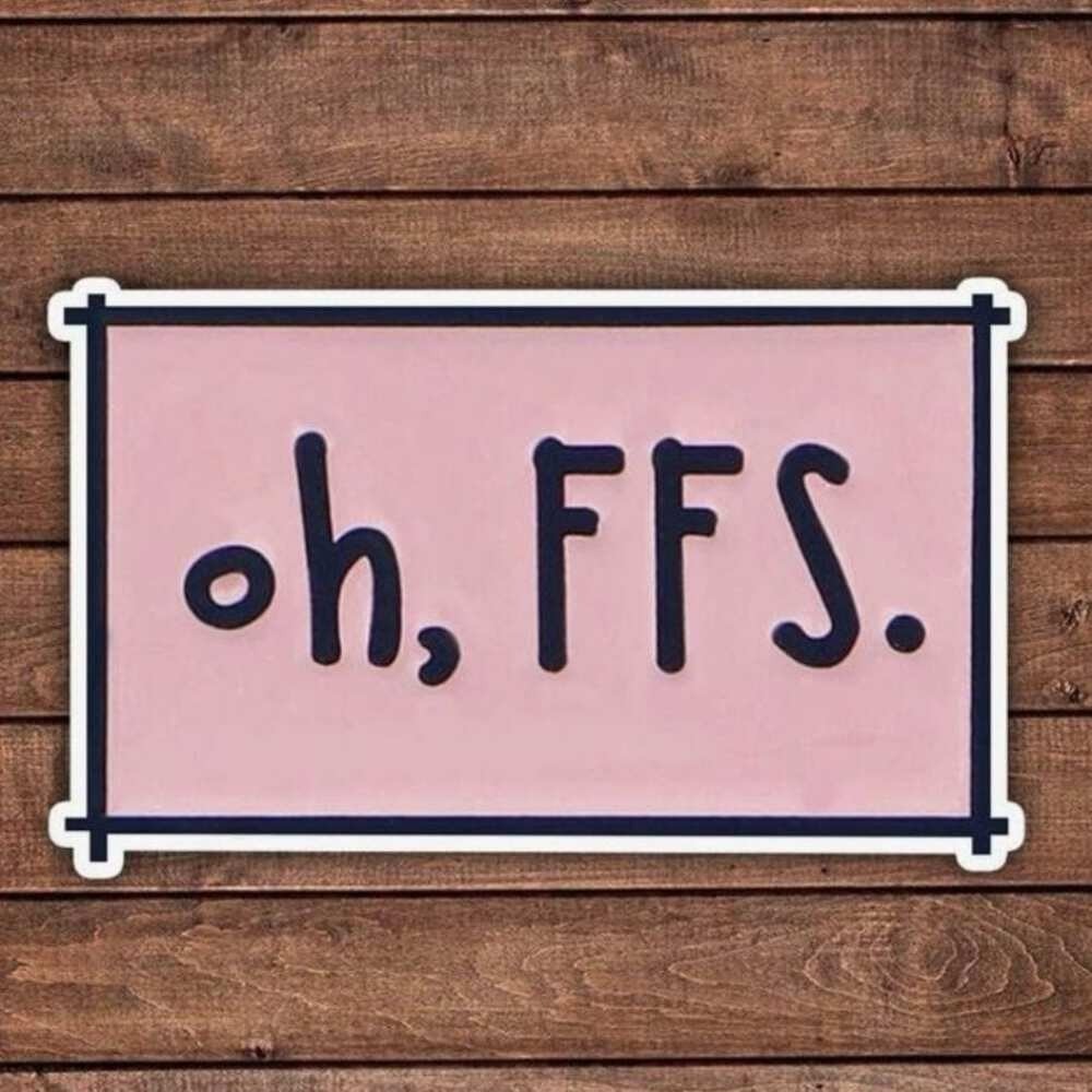 Whit's Up Shop Oh, FFS Sticker Funny Sarcastic Quote Vinyl Decal Pink Navy